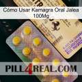 Cómo Usar Kamagra Oral Jalea 100Mg new06